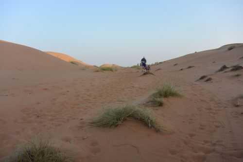 OMAN DESERT MARATHON | 165K 2016